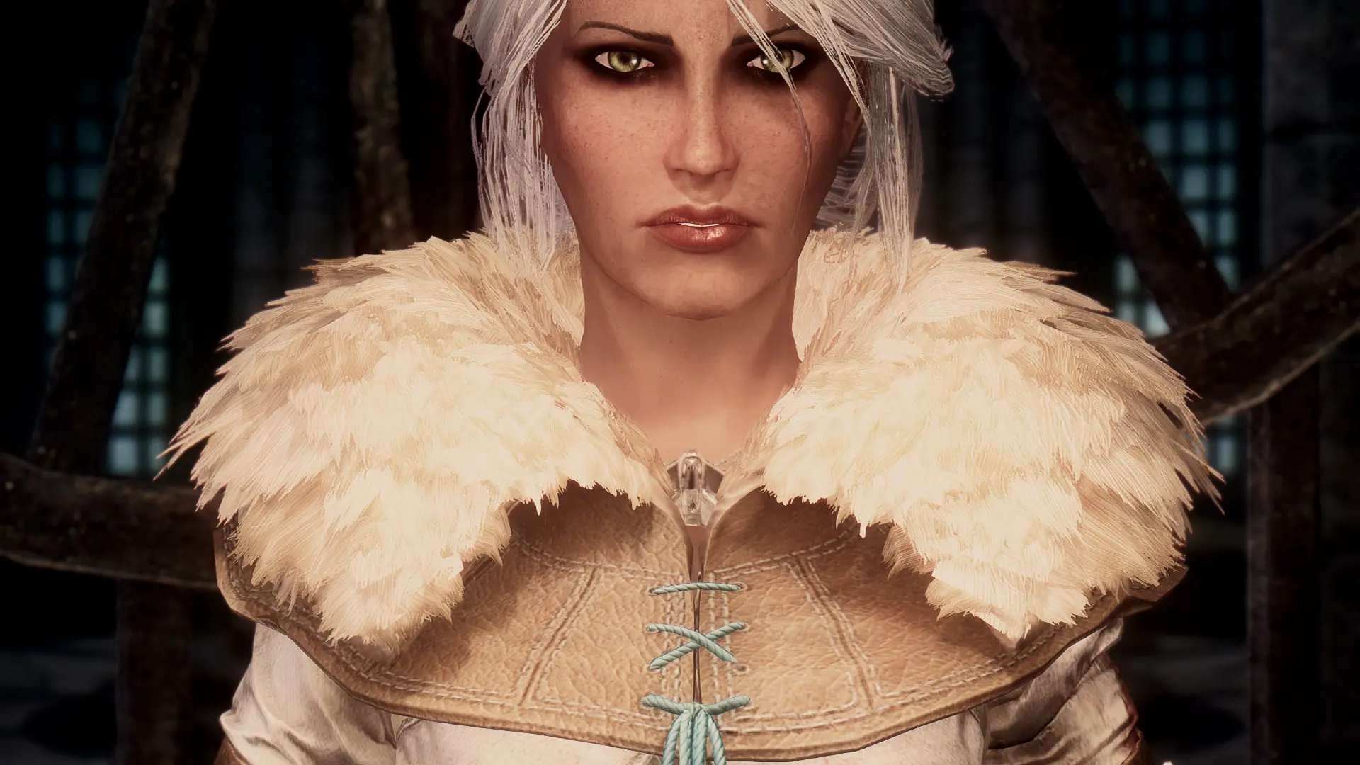 Ciri's Outfit (The Witcher 3) SE UNP-CBBE - PTBR at Skyrim Special Edition  Nexus - Mods and Community