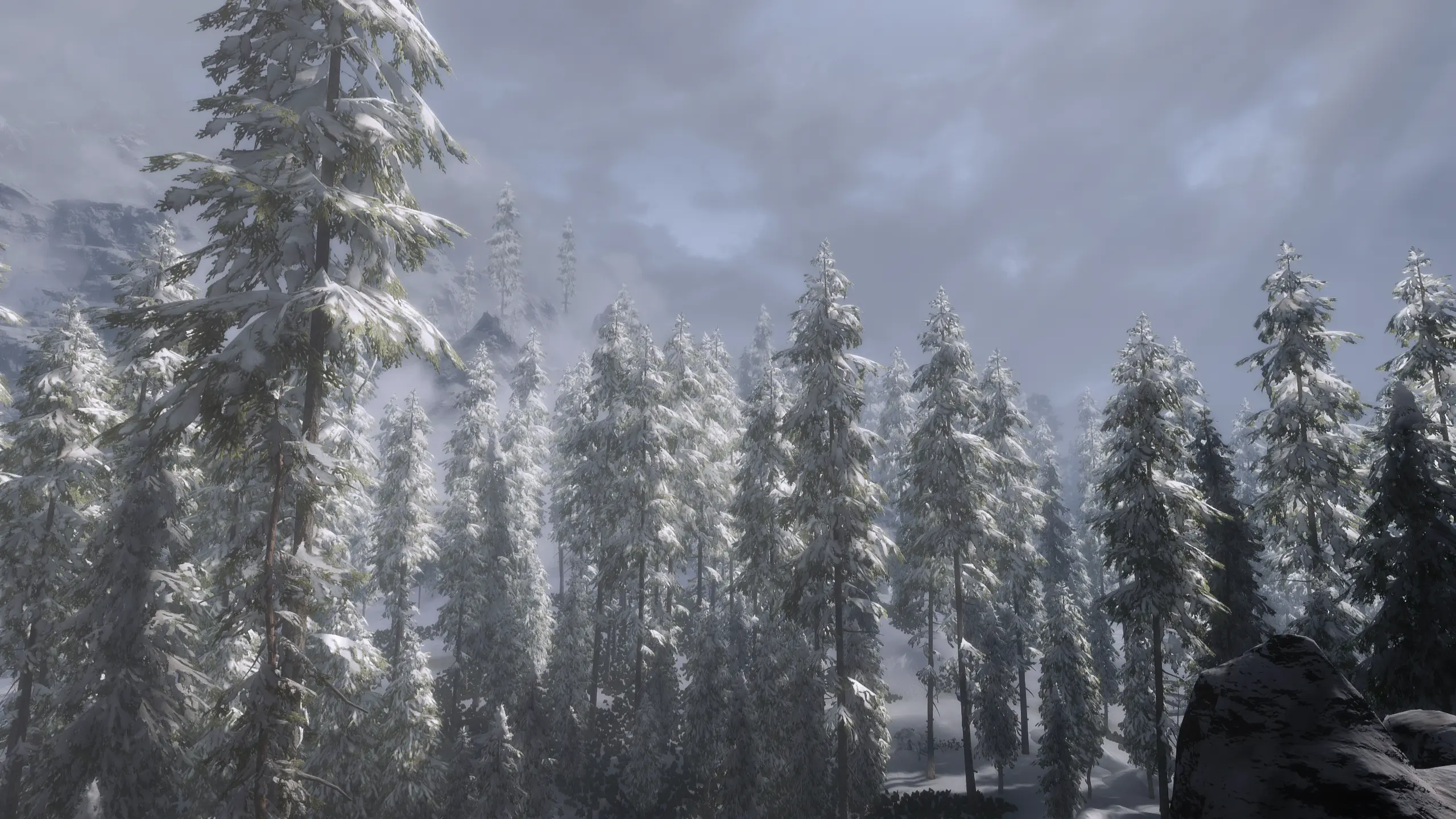 Skyrim special edition steam cloud фото 22