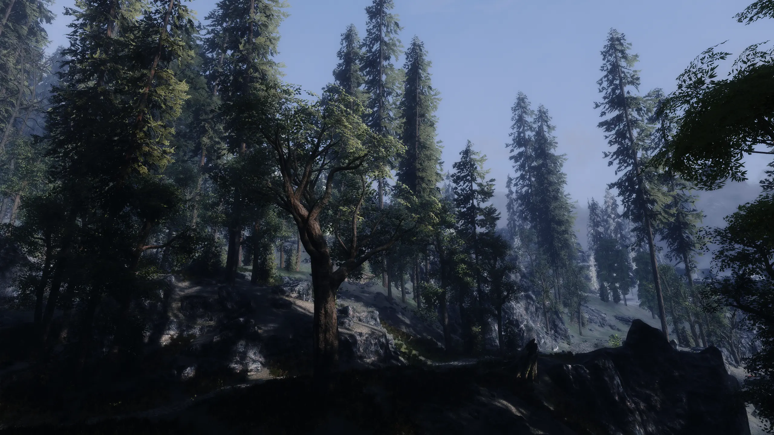 Blubbos trees for Daves Trees Addon at Skyrim Special Edition Nexus ...