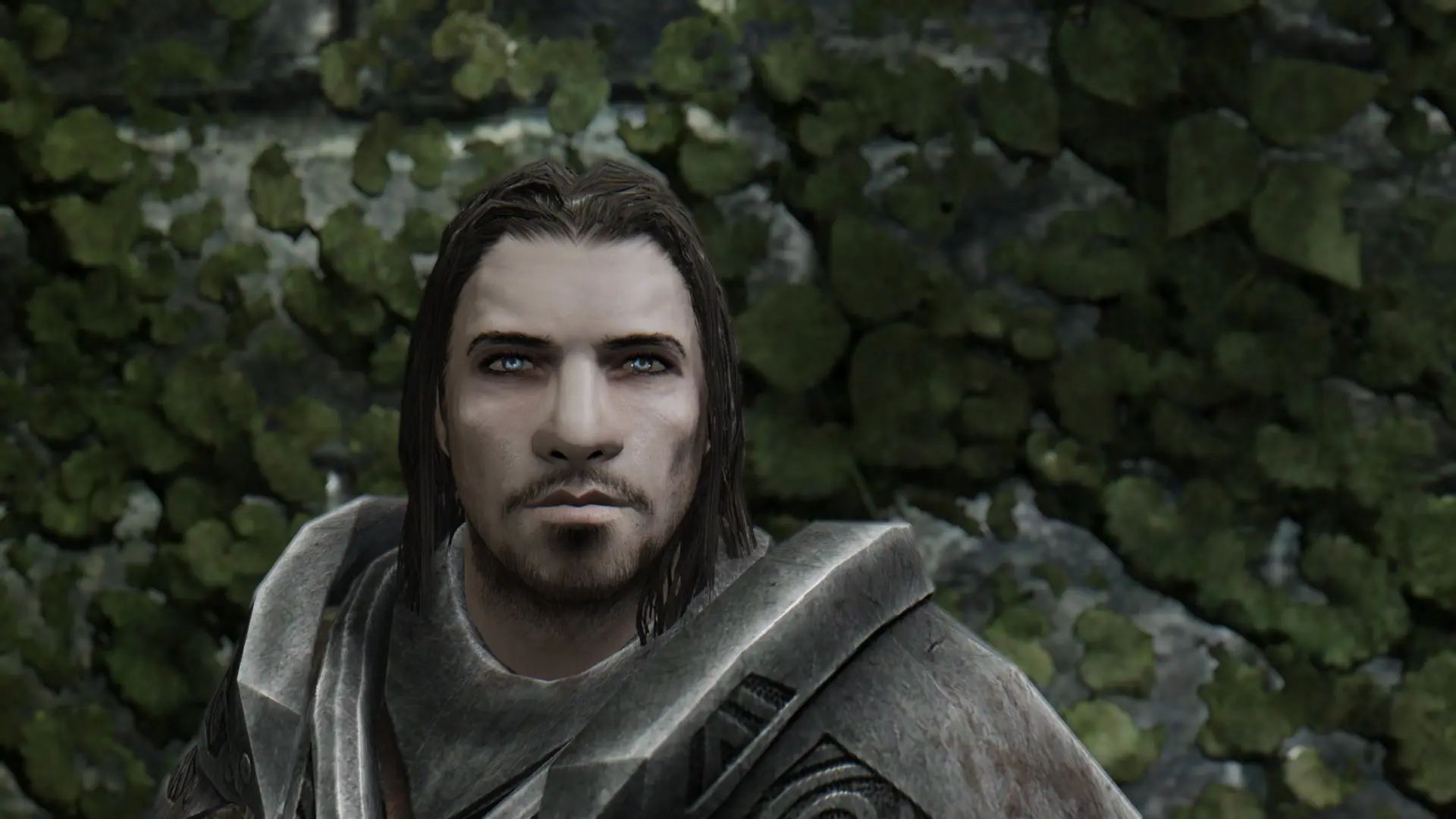 The Art of Beard - New Facial Hairs at Skyrim Special Edition Nexus