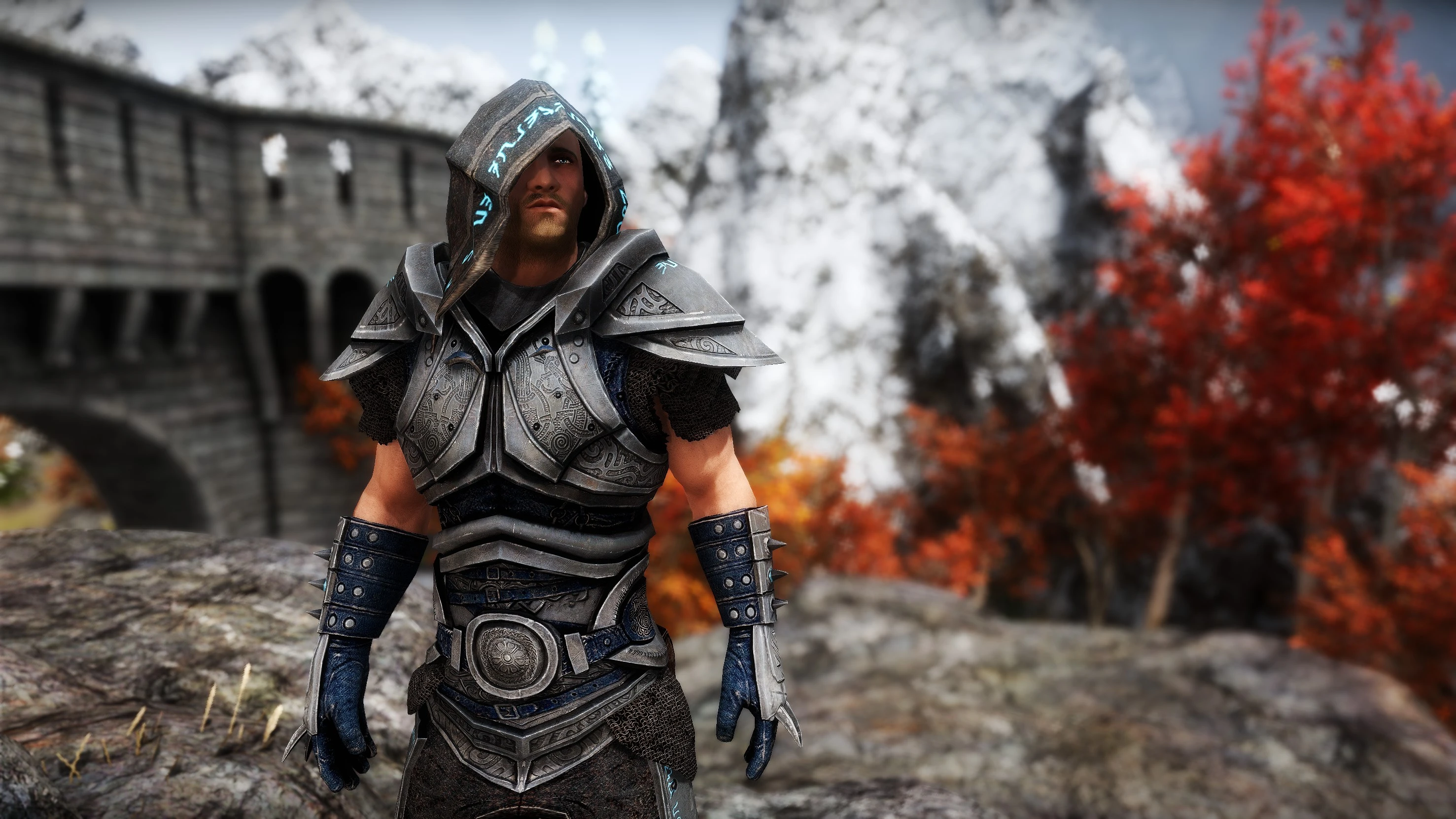 Witchplate Armor Retexture SE at Skyrim Special Edition Nexus - Mods ...