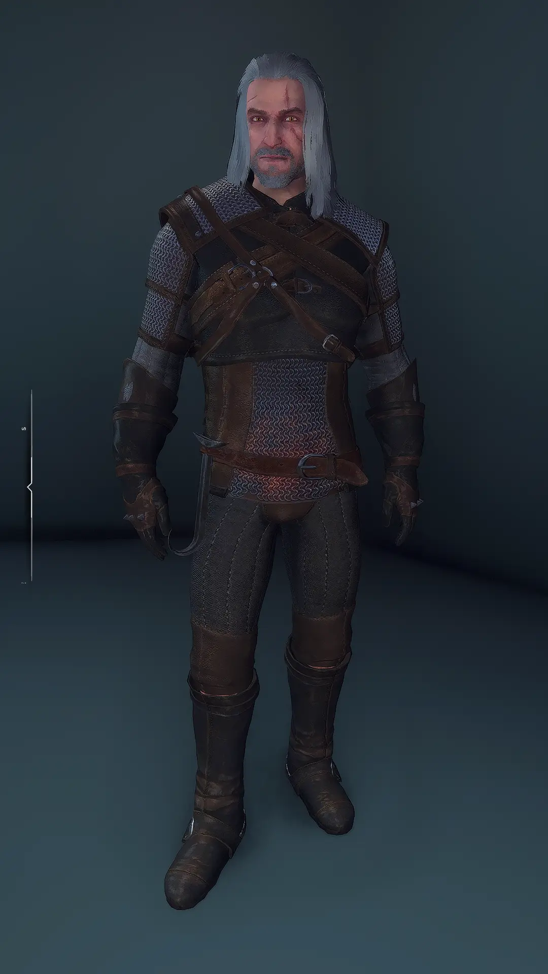 AIO Witcher Schools Armors Collection at Skyrim Special Edition Nexus ...