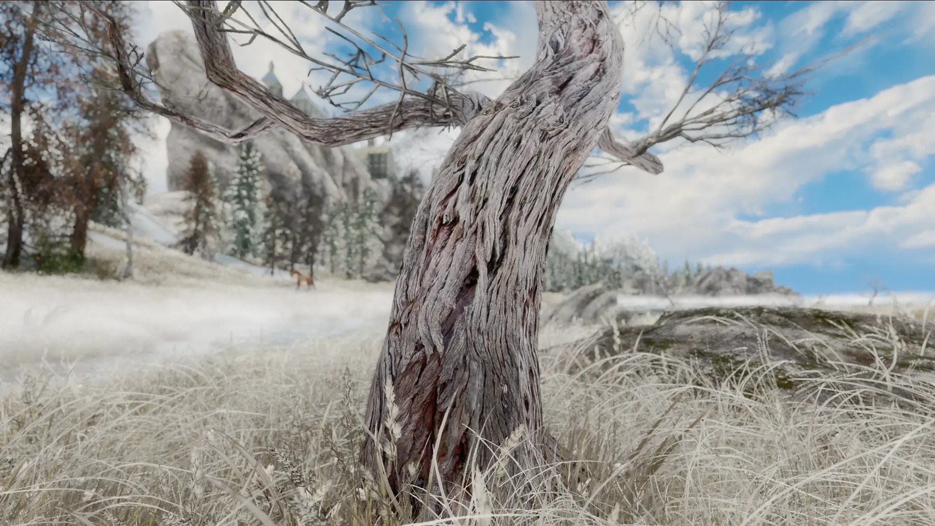 Skyrim parallax. Саксаул. Wallpapers саксаул. Скайрим параллакс текстуры. Parallax Trees looped.