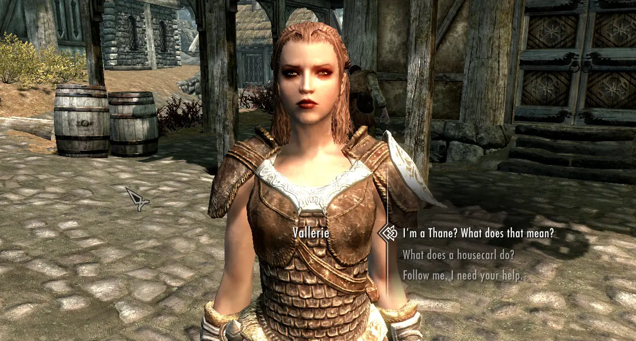 Female Housecarls At Skyrim Special Edition Nexus Mods And Community