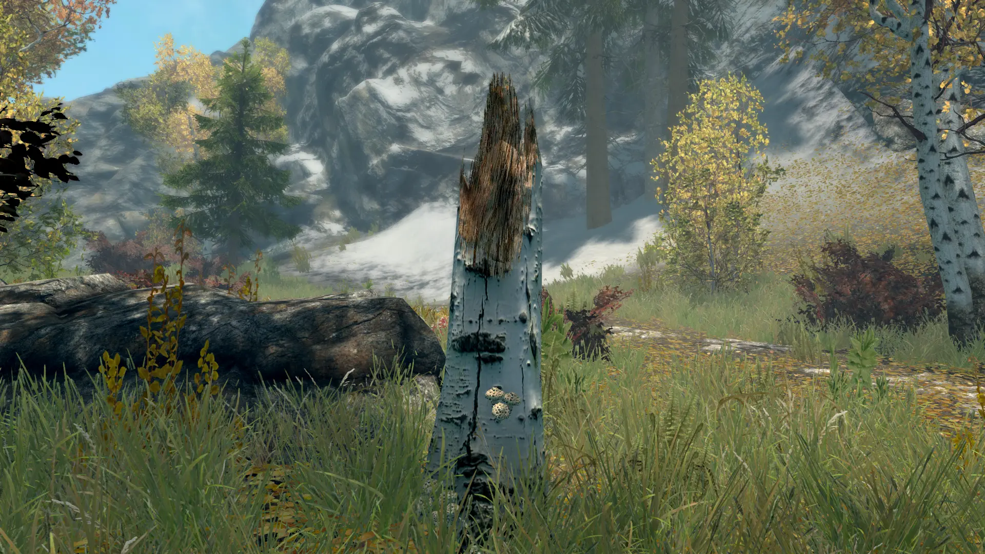 Vanilla Forest Logs Pruned at Skyrim Special Edition Nexus - Mods and ...