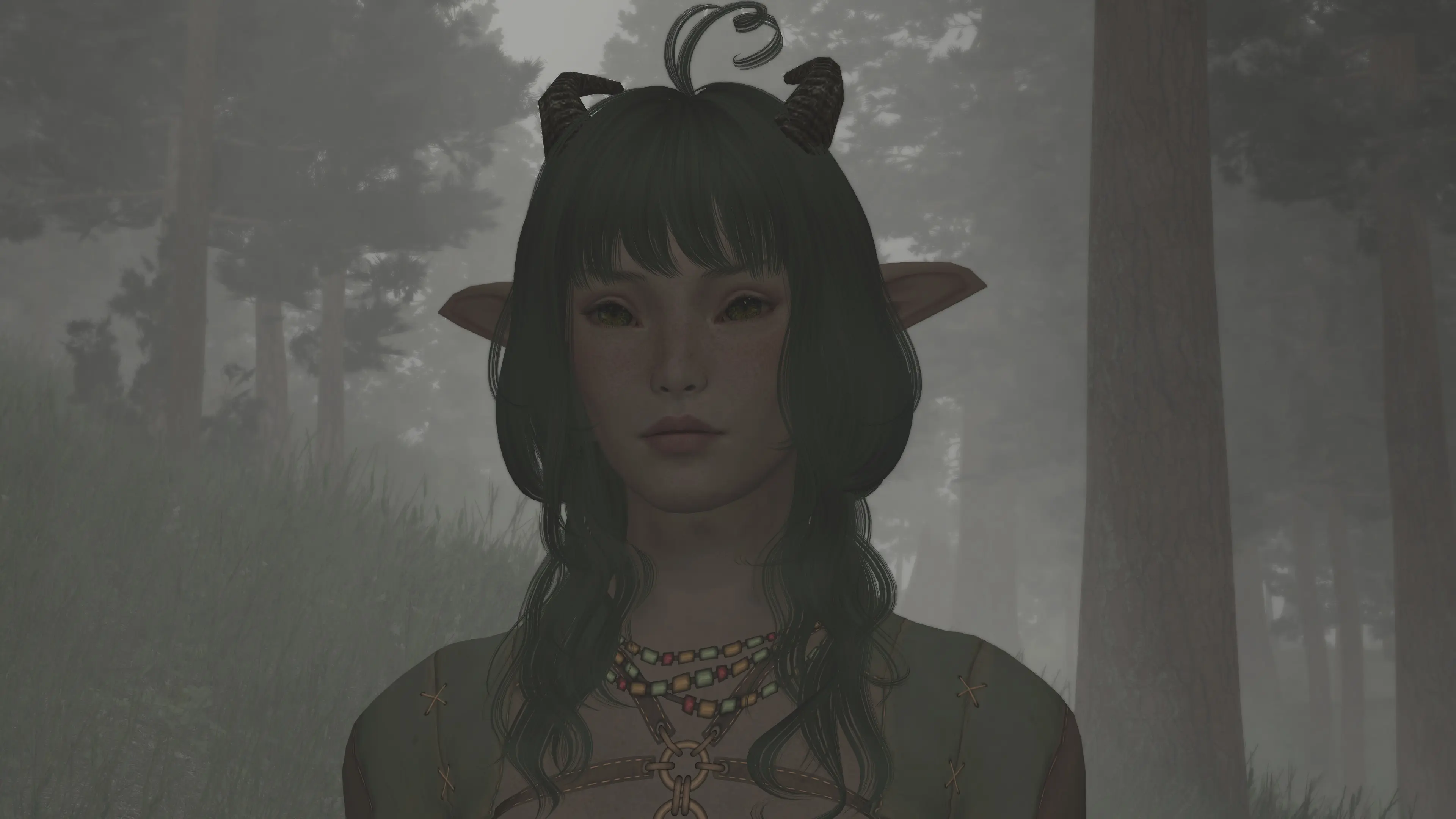 Pebble Pretty Bosmer Preset At Skyrim Special Edition Nexus Mods And