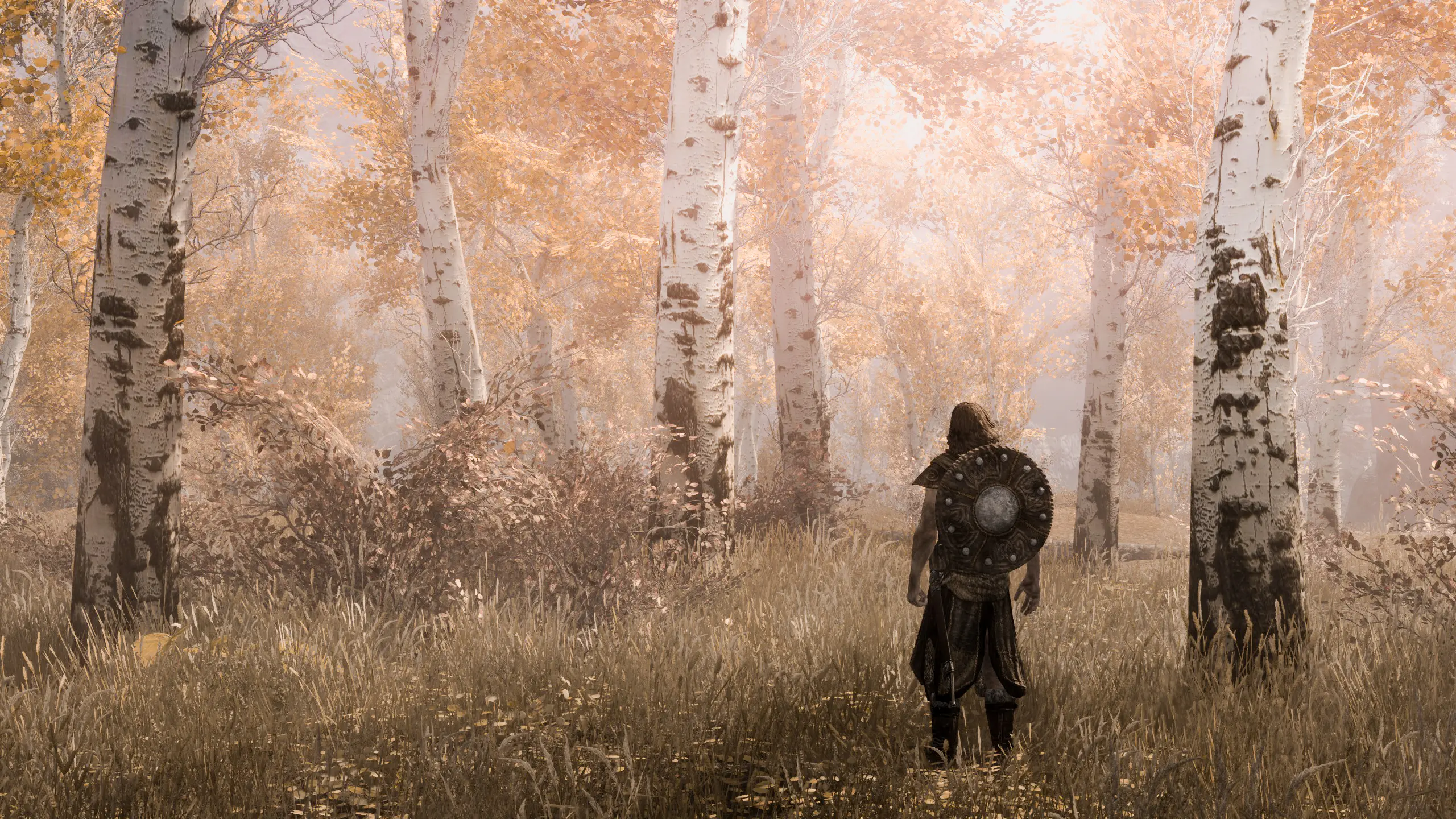 The Vanilla ENB Two At Skyrim Special Edition Nexus - Mods And Community