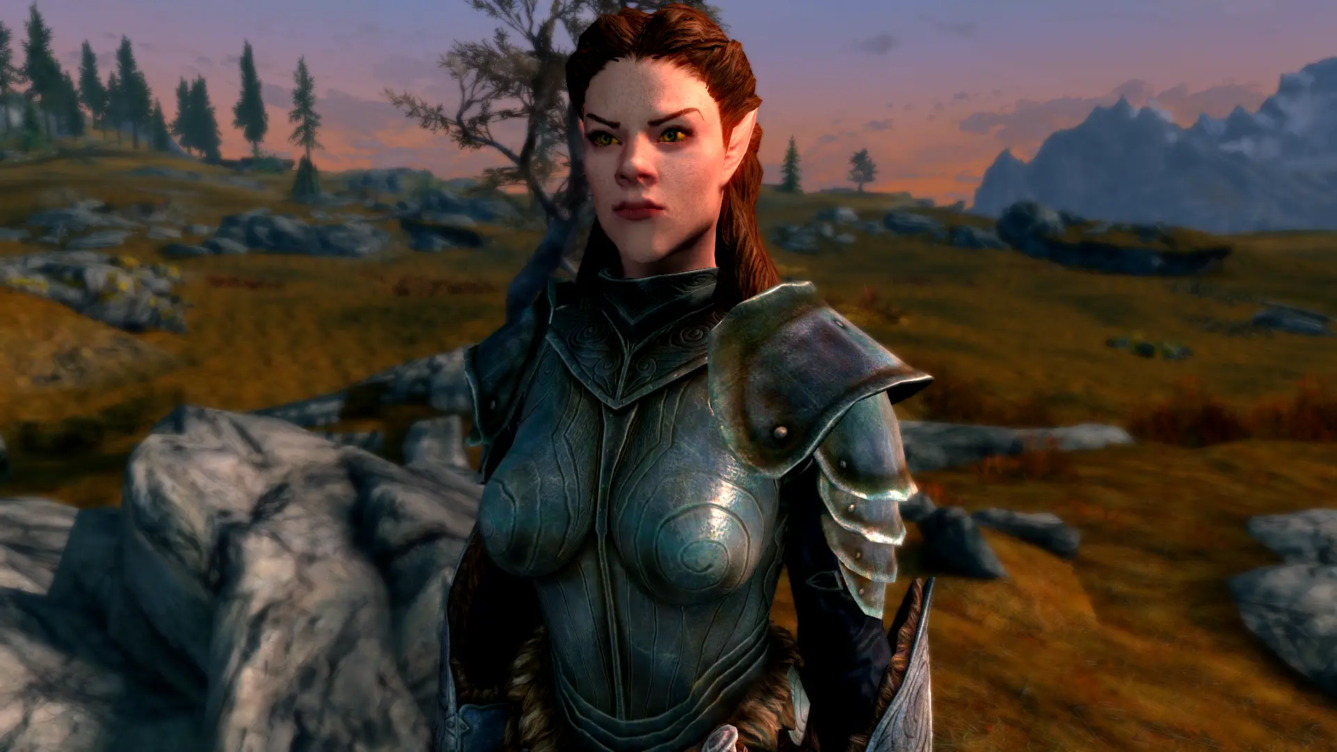 Erisrne Gaethiath - Female High Elf Follower at Skyrim Special Edition ...