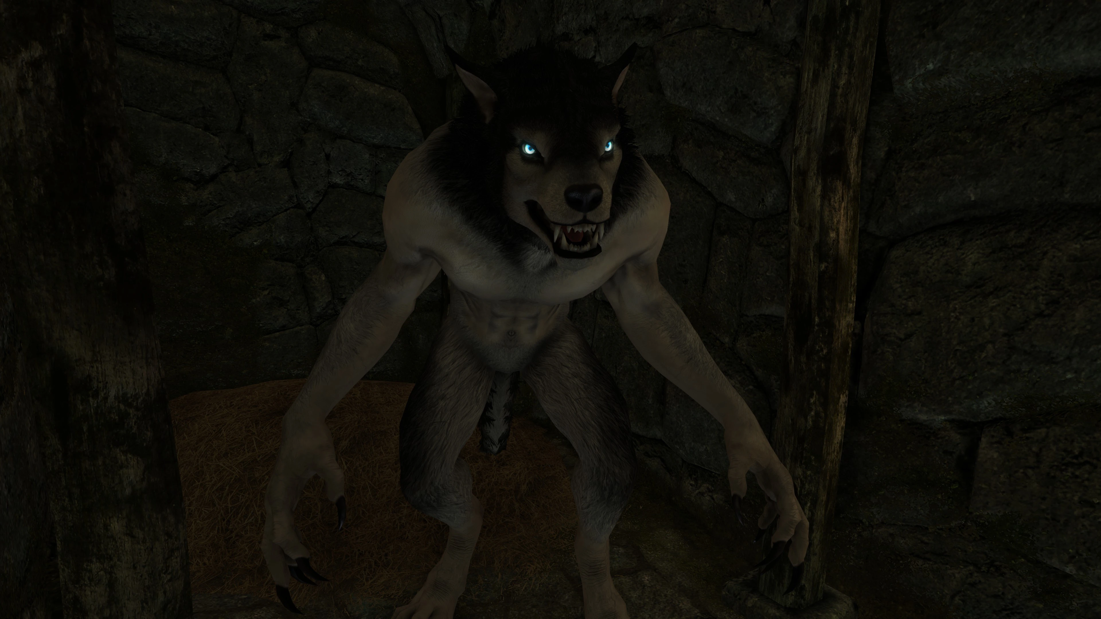 Diverse Werewolf Collection No Werebear In Werewolf Level Lists At Skyrim Special Edition Nexus 6866