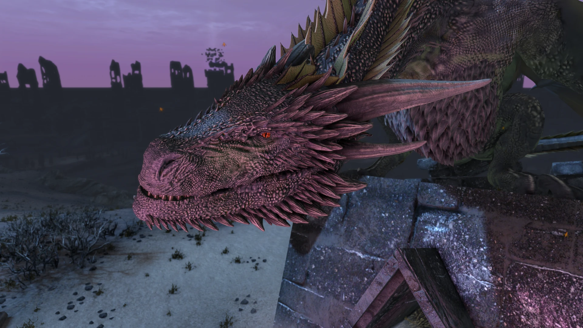 GoT Dragons (A Game of Thrones) at Skyrim Special Edition Nexus - Mods ...