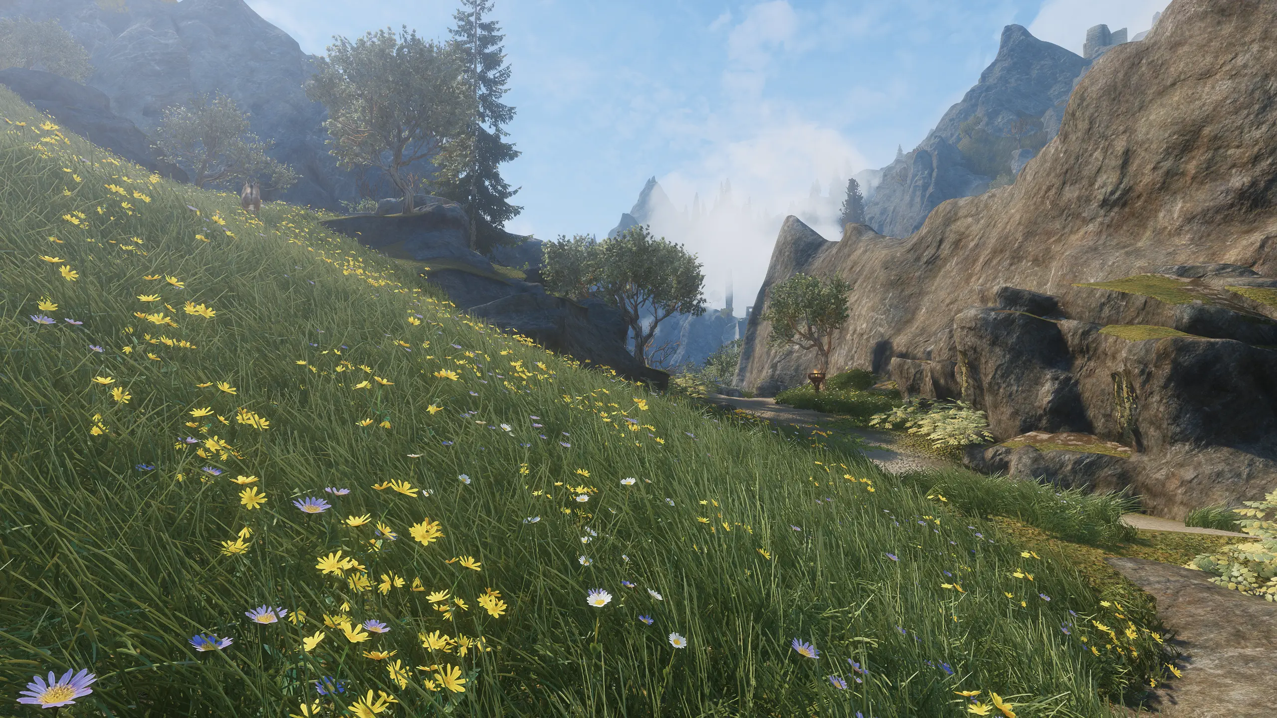 Cathedral - 3D Landscapes and Grass Library at Skyrim Special Edition ...