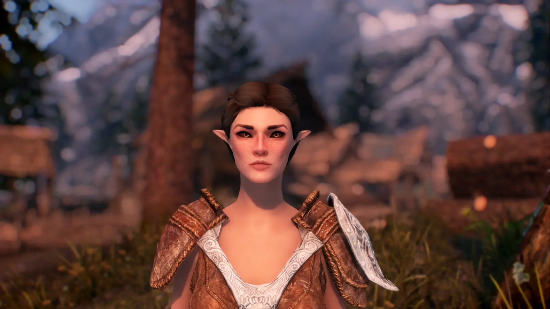 Elven Ladies - Racemenu Preset Pack At Skyrim Special Edition Nexus 