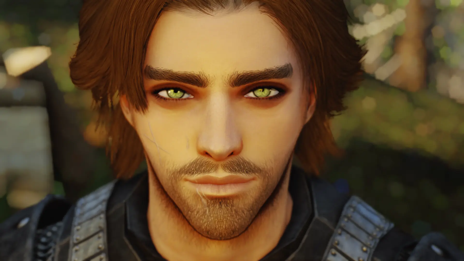 Vito - a visual replacer at Skyrim Special Edition Nexus - Mods and 