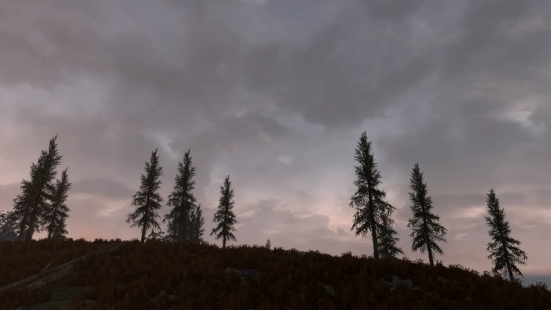 Twilight at Skyrim Special Edition Nexus - Mods and Community