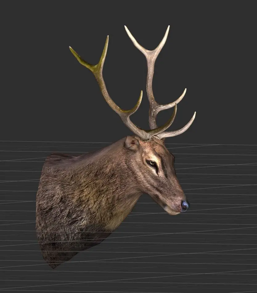 slightly Better Small Antlers and Deer Hide at Skyrim Special Edition ...