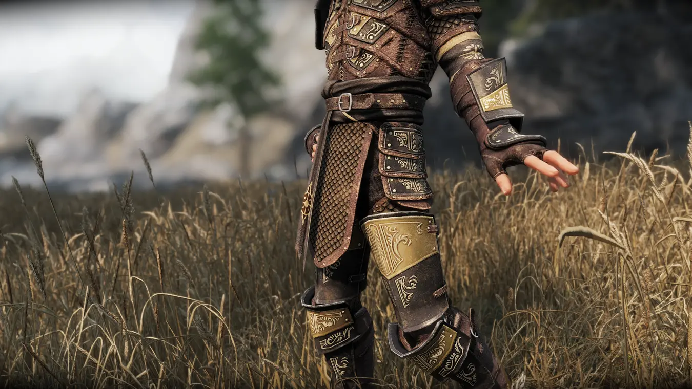 Spell Knight Armor Variants At Skyrim Special Edition Nexus Mods And   84620 1676845112 842495825 