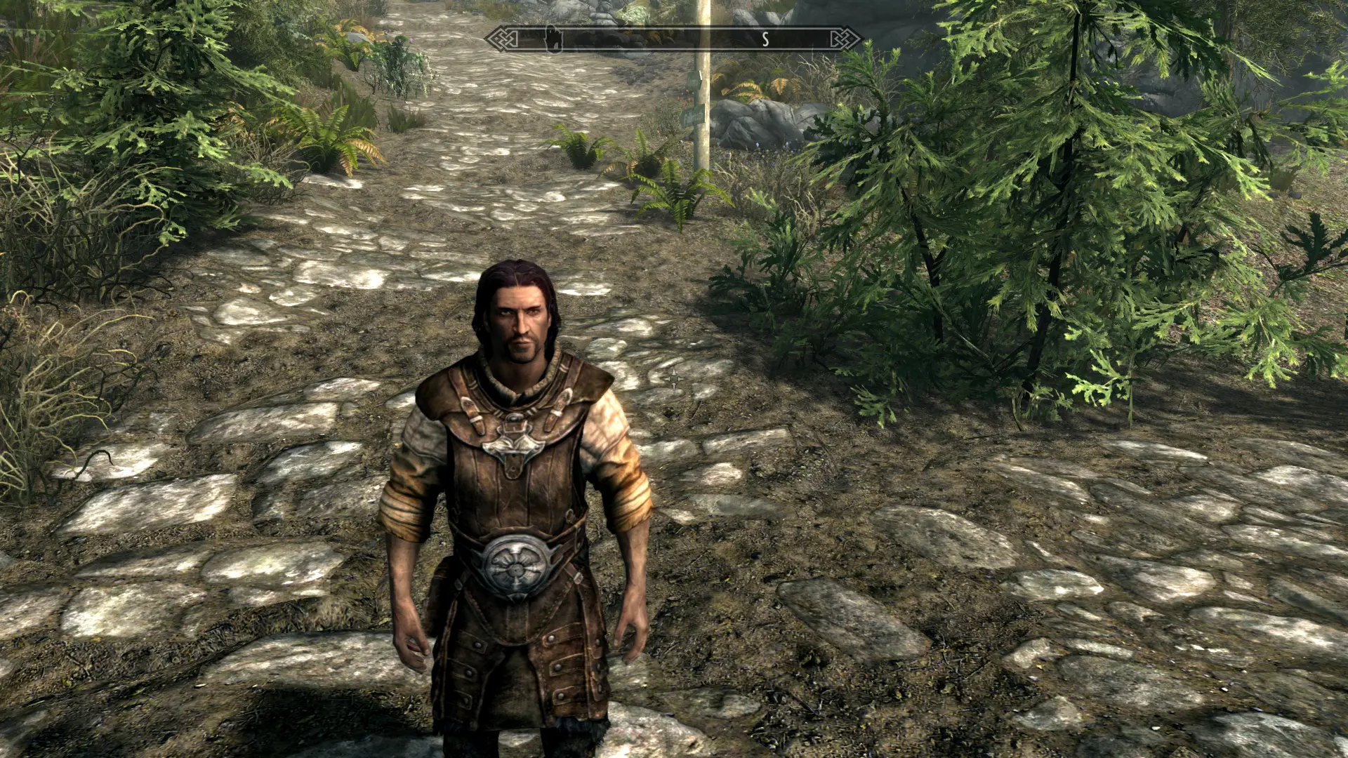 Comprehensive Sleeves Pack SE at Skyrim Special Edition Nexus - Mods ...