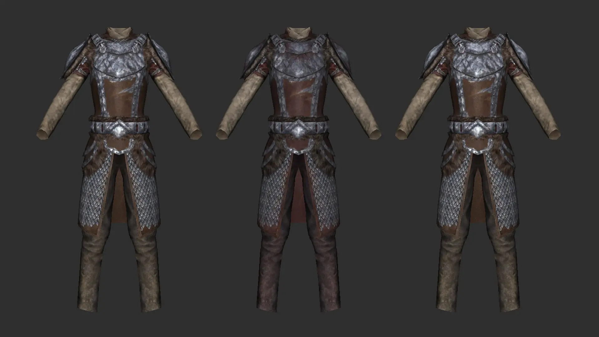 Practical Female Vigil Enforcer Armor at Skyrim Special Edition Nexus ...