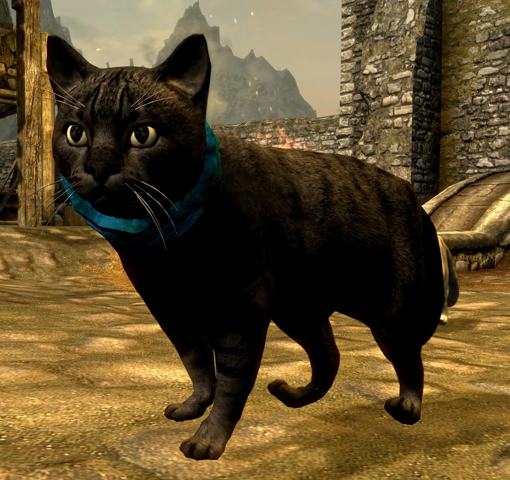 Repopulate Skyrim with House Cats SE at Skyrim Special Edition Nexus ...