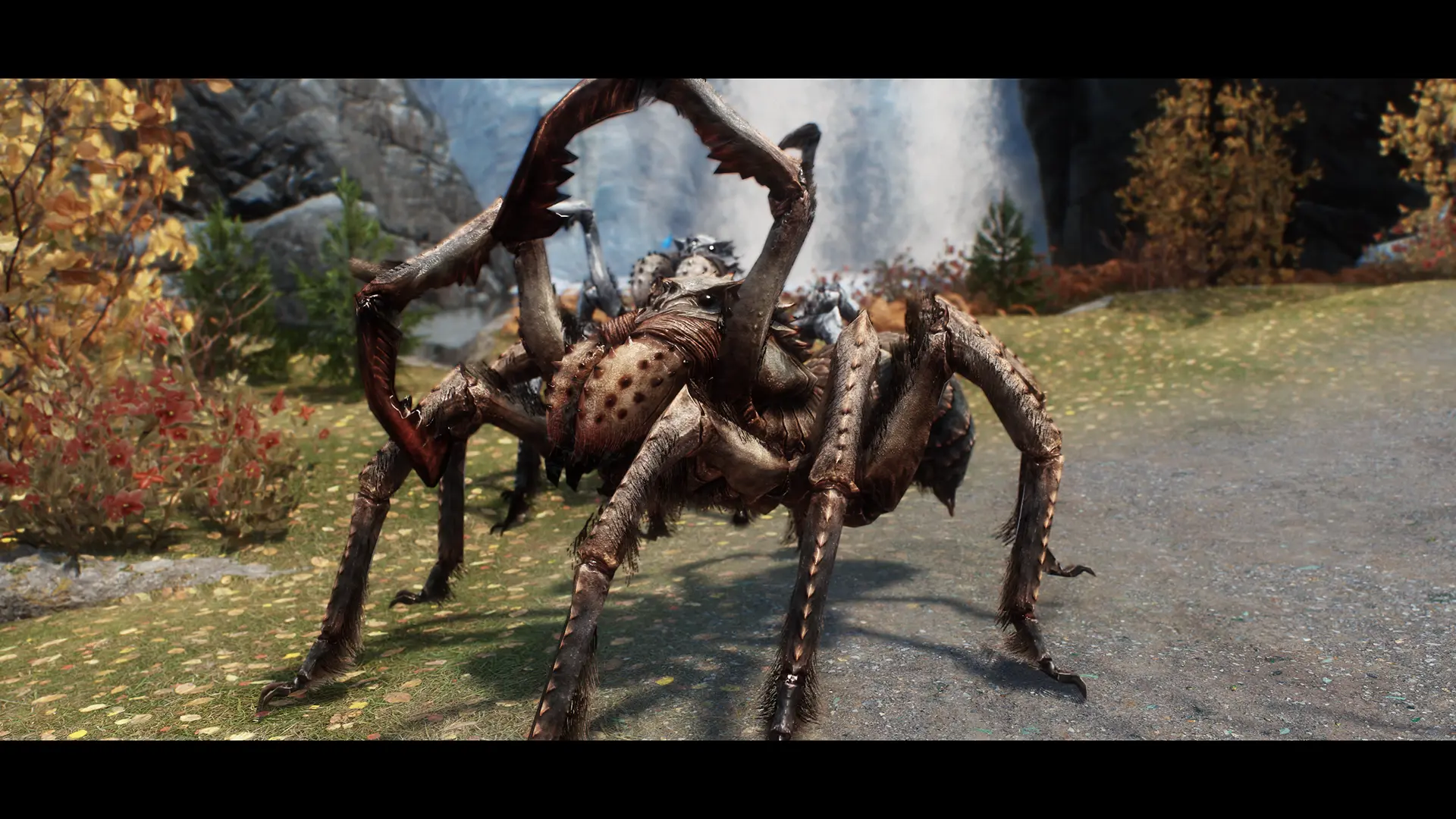 Iconic S Spiders Of Skyrim Retexture At Skyrim Special Edition Nexus   89960 1682367419 1775915181 