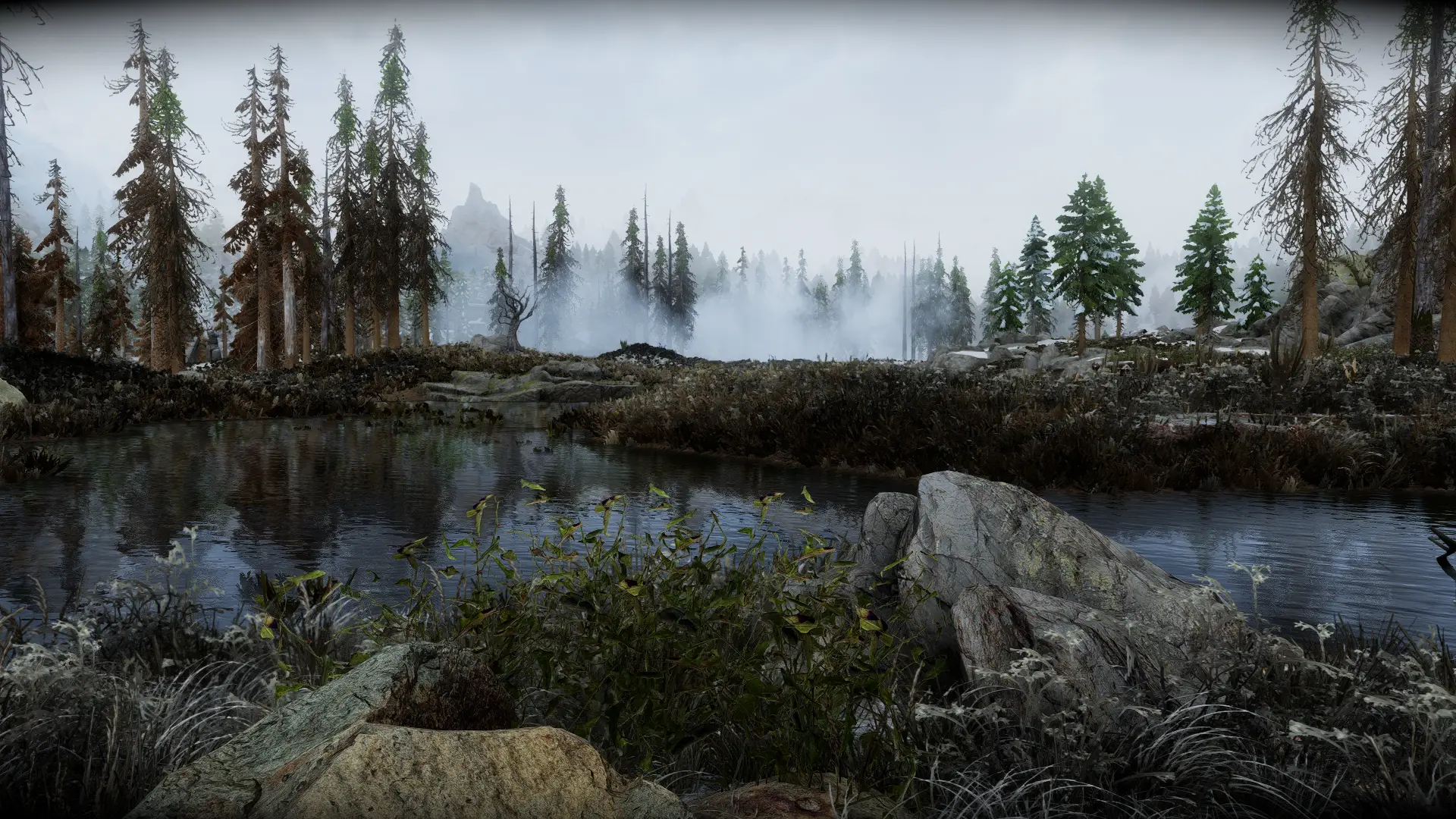 Alternate Marsh For Happy Little Trees At Skyrim Special Edition Nexus 