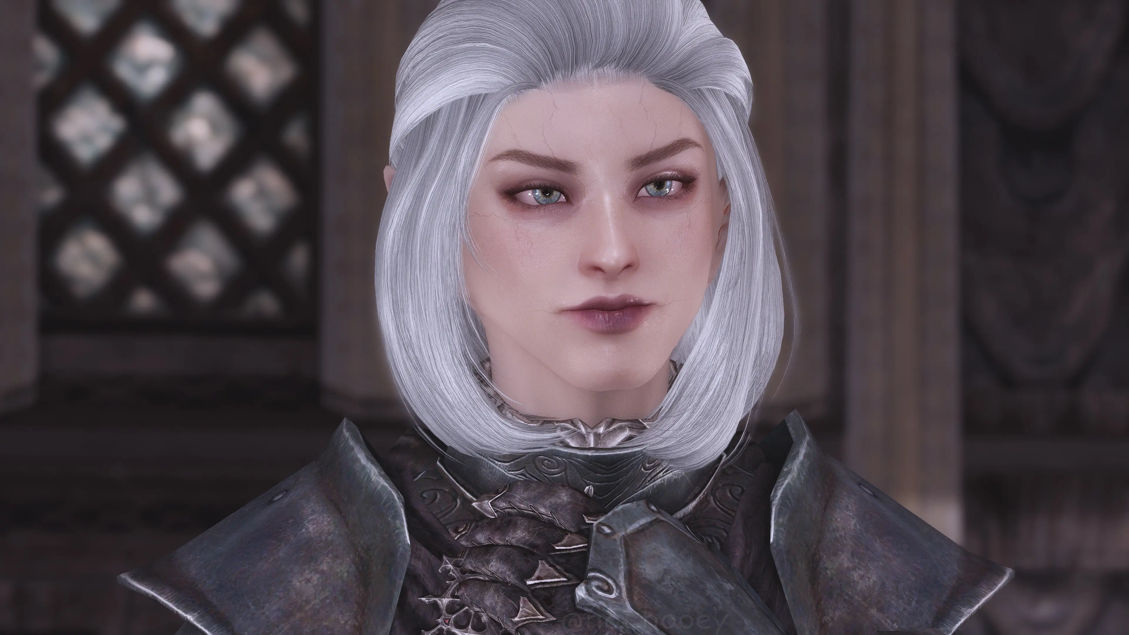 Morgaine Follower - Replacer - Chooey's Choice at Skyrim Special ...