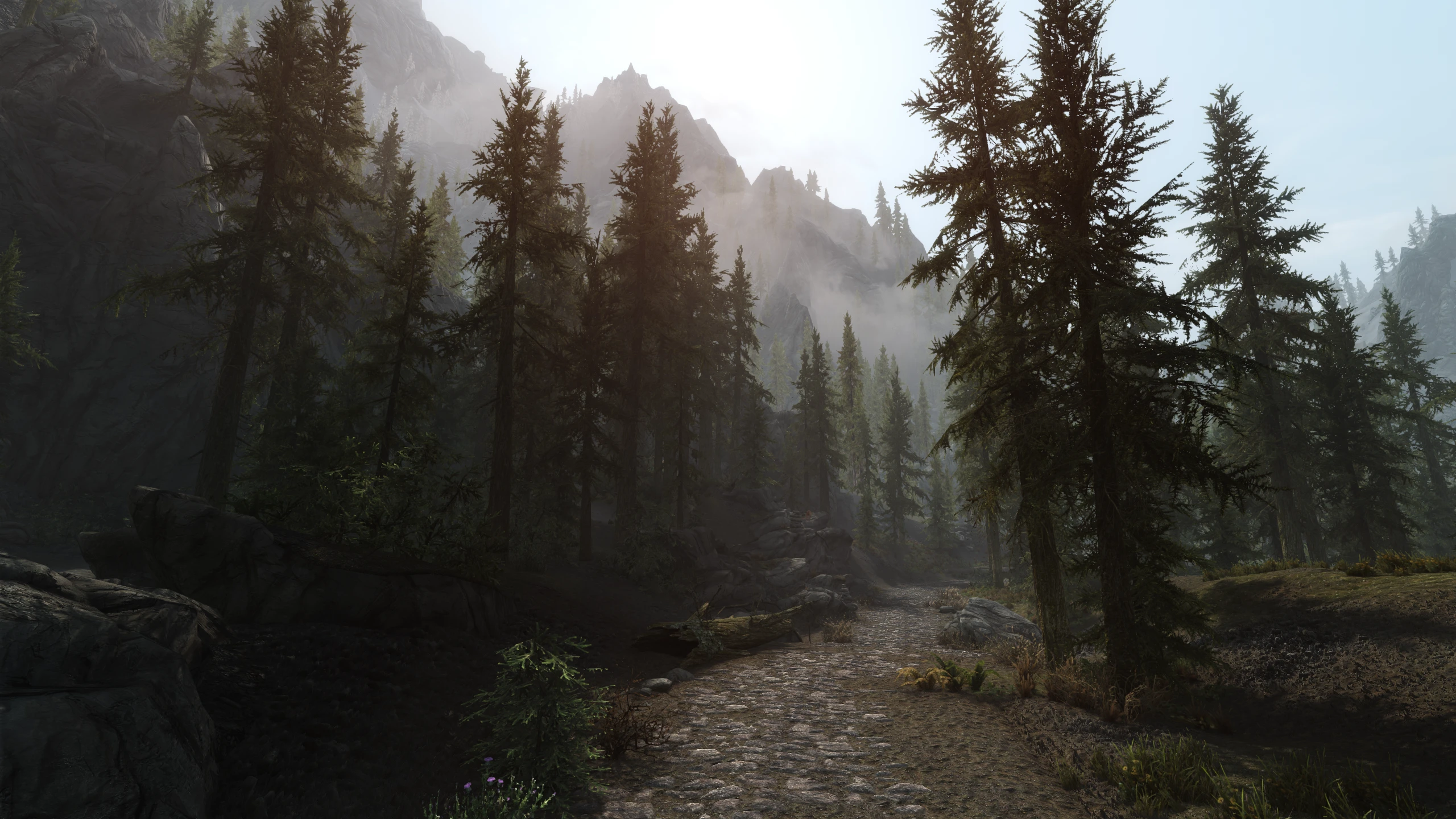 Harlandson's ENB for Skyrim Legendary Weathers at Skyrim Special ...