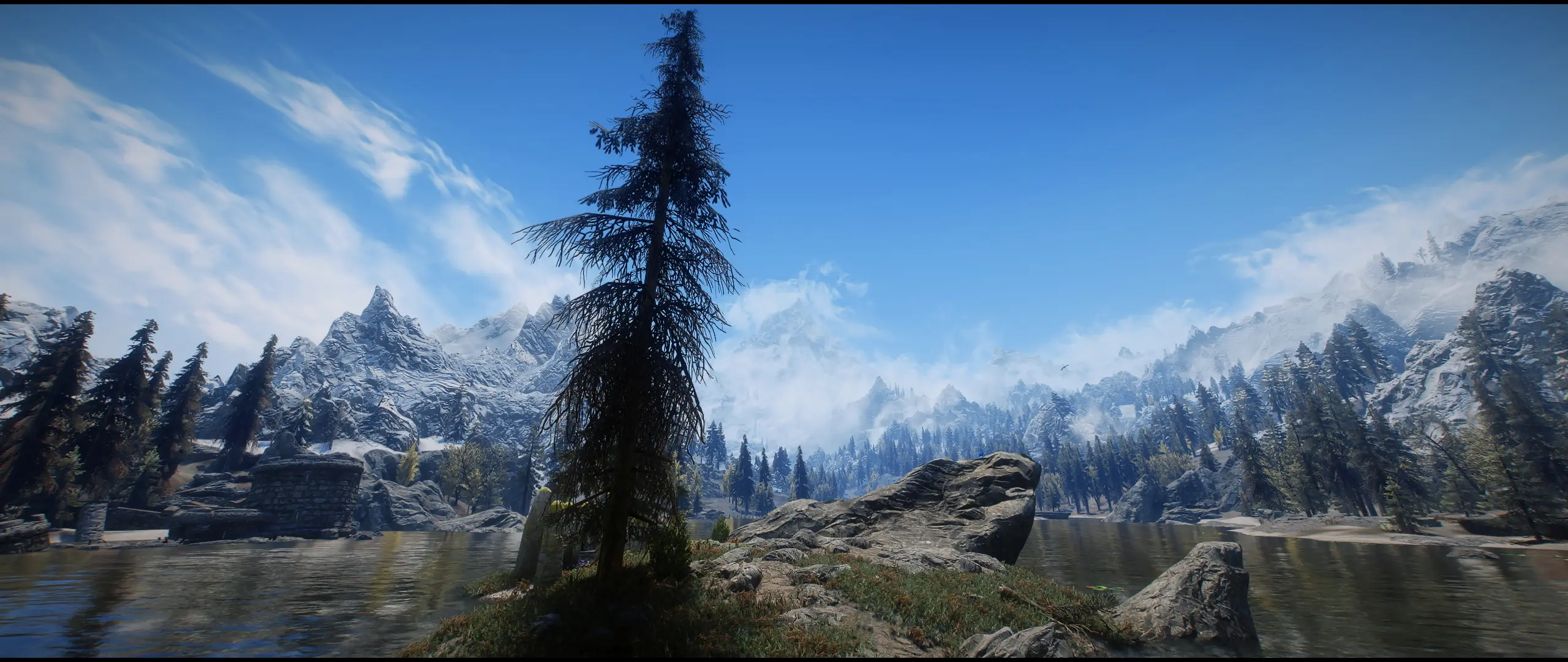 Trees of Iduna at Skyrim Special Edition Nexus - Mods and Community