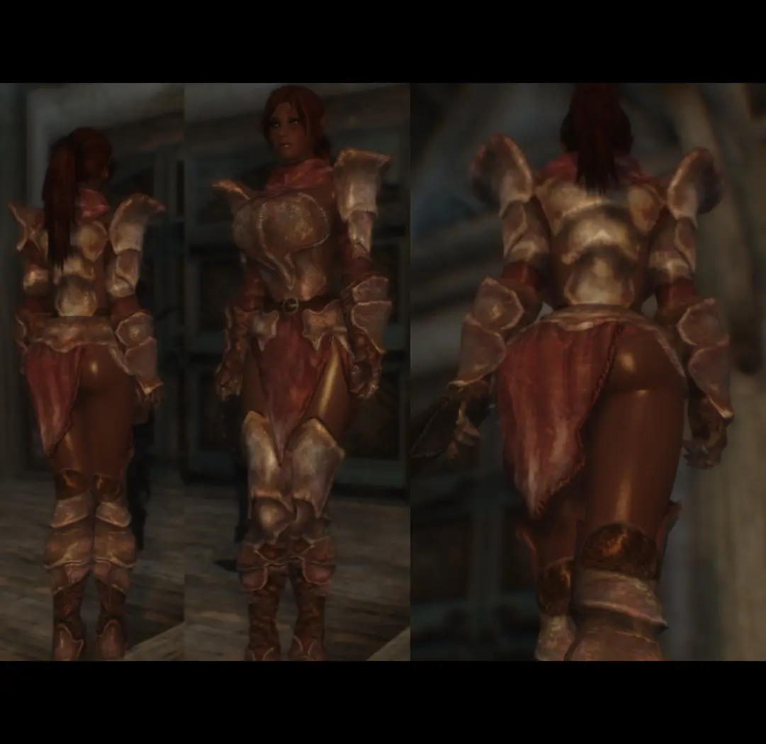 skyrim se armor replacer