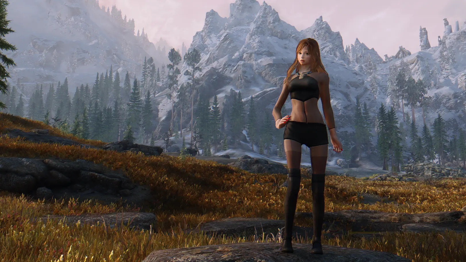 Simple Panty Stockings At Skyrim Special Edition Nexus Mods And Community