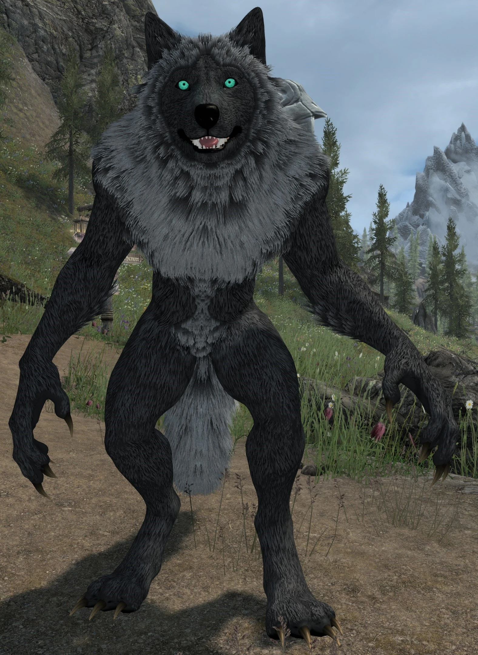 Elegant Werewolf Replacer with Standalone Option at Skyrim Special ...