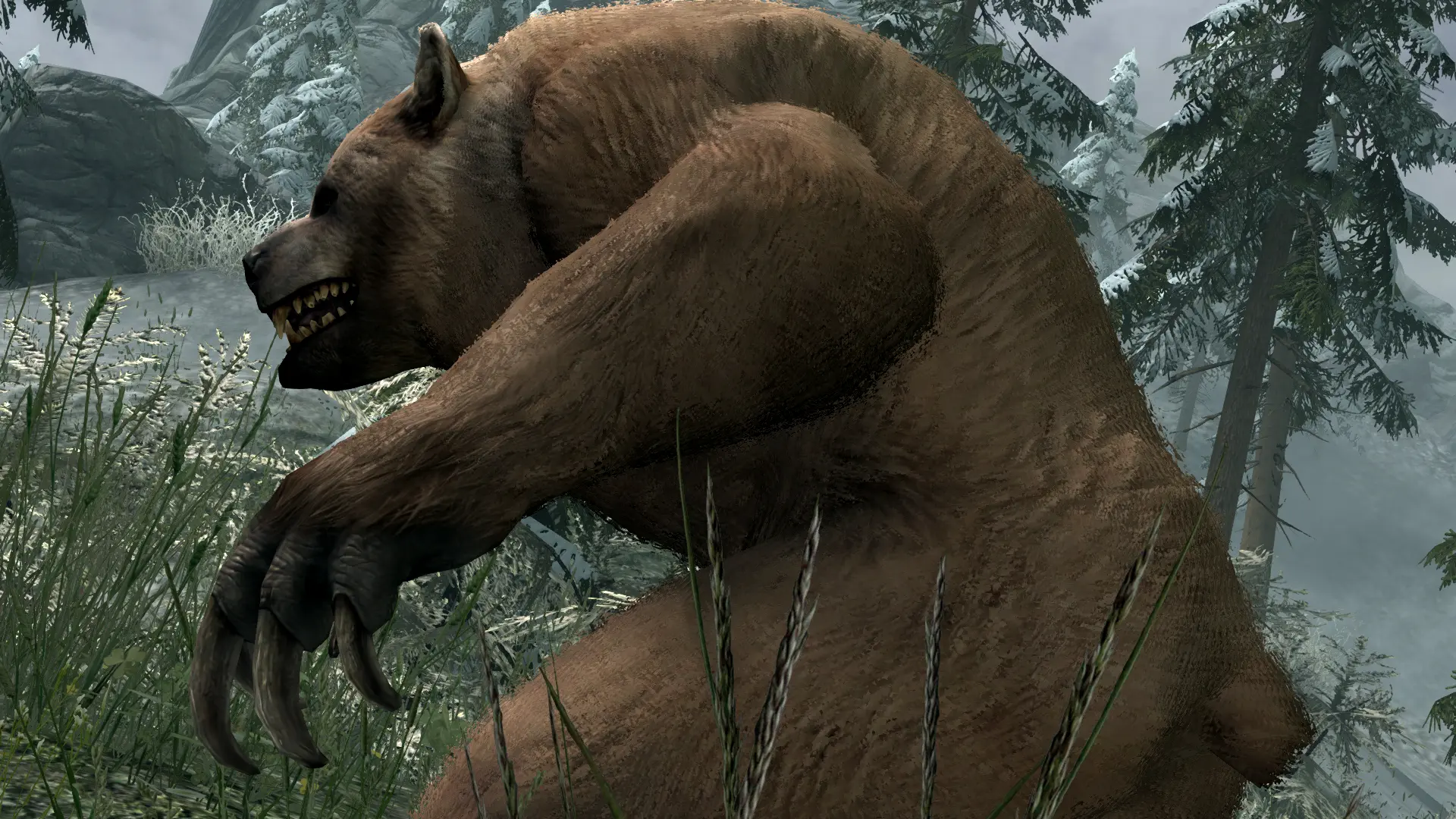 Refined Werebear Replacer SSE at Skyrim Special Edition Nexus - Mods ...