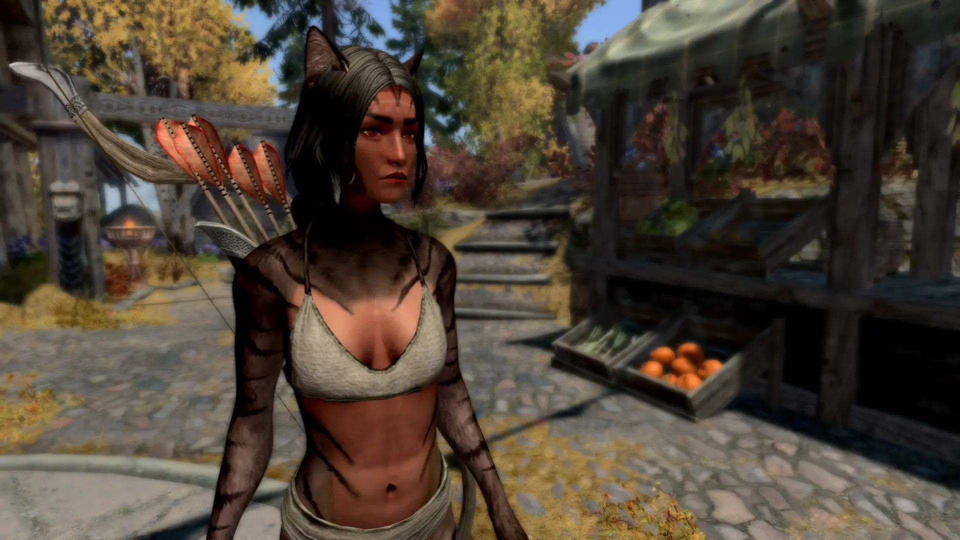 Valerians Half Khajiit Skin Ohmes Raht Female At Skyrim Special Edition Nexus Mods And