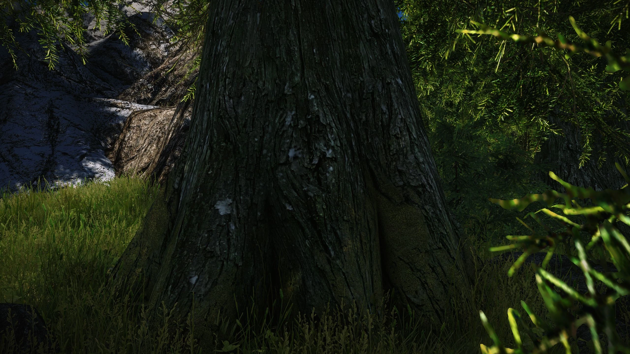 skyrim flickery tree textures