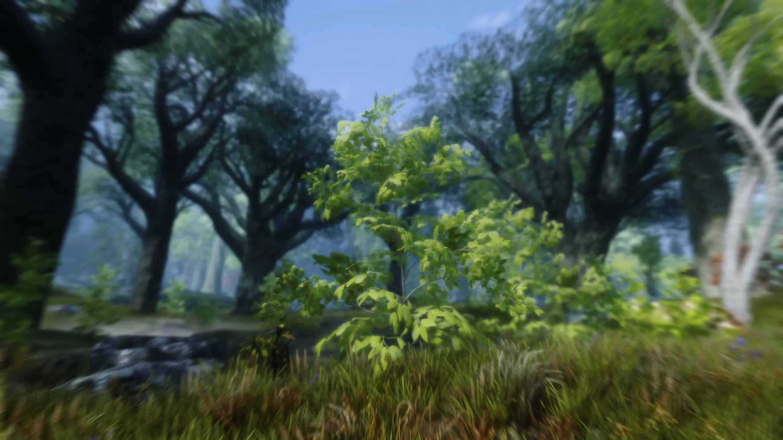 Blubbos Shrub Replacer at Skyrim Special Edition Nexus - Mods and Community