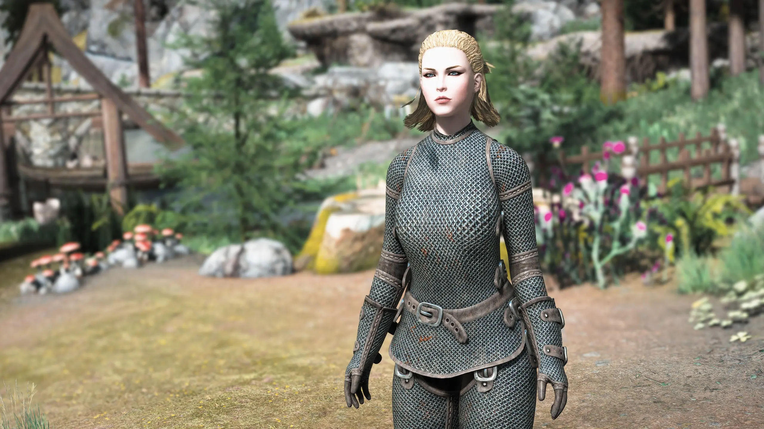 Chainmail Armour At Skyrim Special Edition Nexus Mods And Community