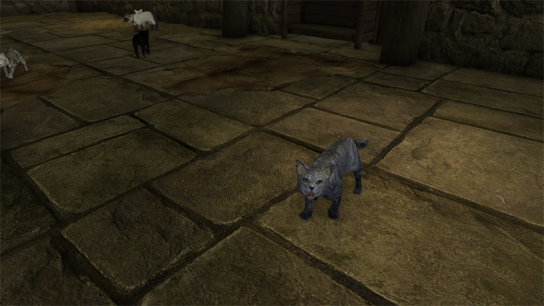 Cat Character In Skyrim at GANCOENBLOG Blog