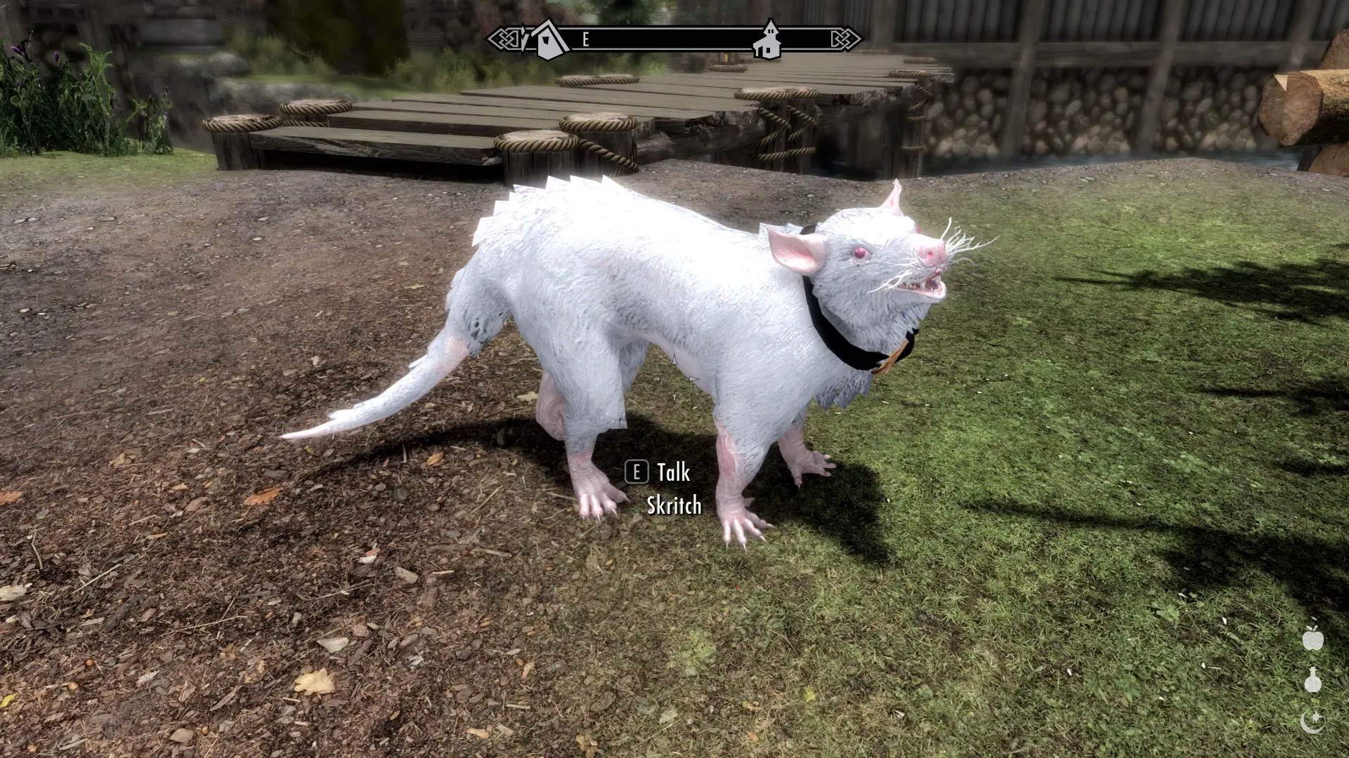 Albino Skritch with Red Blue Black or Teal Collar at Skyrim Special ...