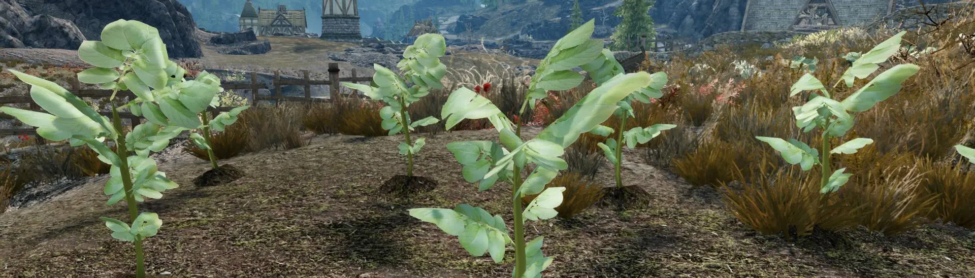 Pristine Potato Plants at Skyrim Special Edition Nexus - Mods and Community