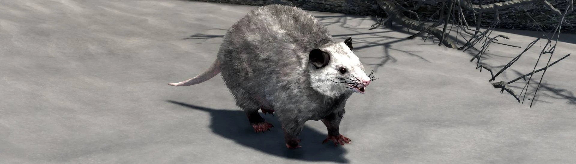 Opossums - a new wild critter at Skyrim Special Edition Nexus - Mods ...