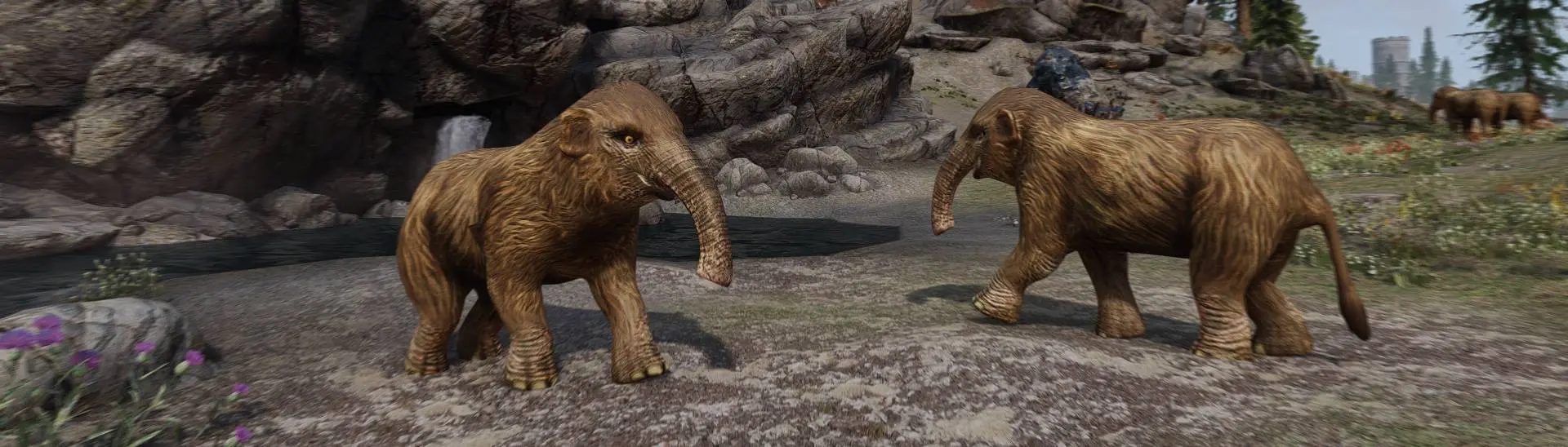 Quiet Mammoth Babies - No Camera Shake - OAR DAR versions at Skyrim Special  Edition Nexus - Mods and Community