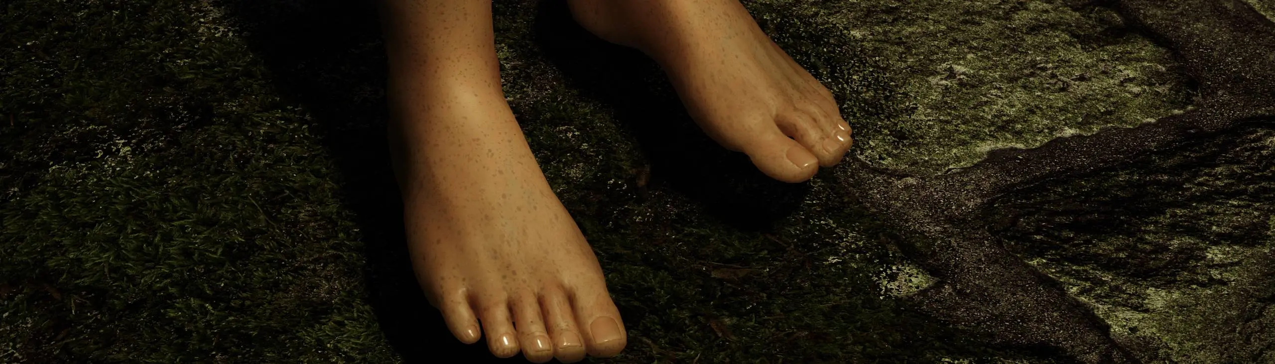 HG Feet and Toes BHUNP SE Reference Fix for Overlays at Skyrim Special  Edition Nexus - Mods and Community