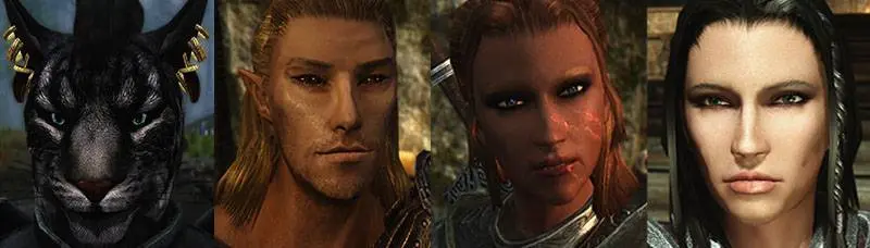 Skyrim SE Vanilla Massive NPC Facelift Overhaul USSEP Supported at ...