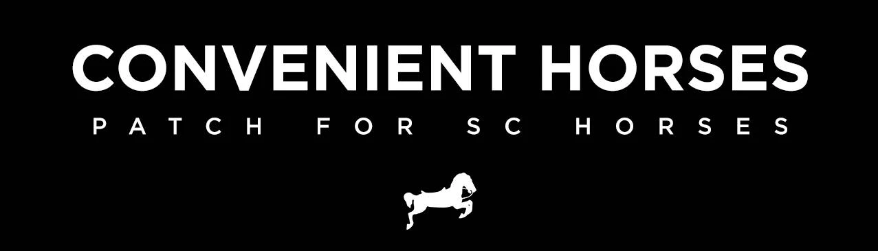 Convenient horses patch for SC Horses at Skyrim Special Edition Nexus ...