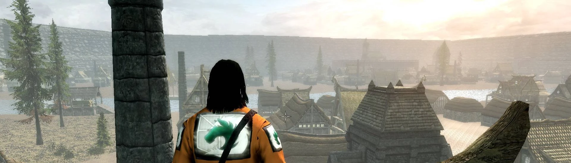 Shadow of the Colossus: PS2 vs. PS3 Frame-Rate Tests 