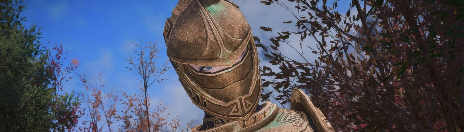 Dragon Age Origins Awakening - Sentinel Armor - PTBR at Skyrim Special  Edition Nexus - Mods and Community