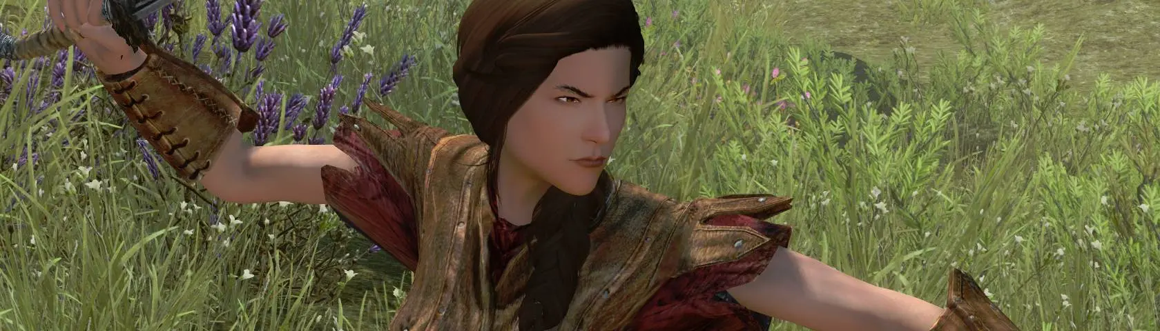 Lady of the forest Mesh replacer at Dragon Age: Origins - mods and community