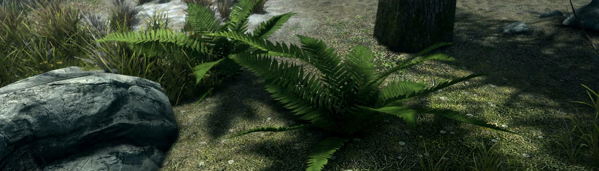 Skyrim 3d trees and plants ferns only at skyrim special edition nexus