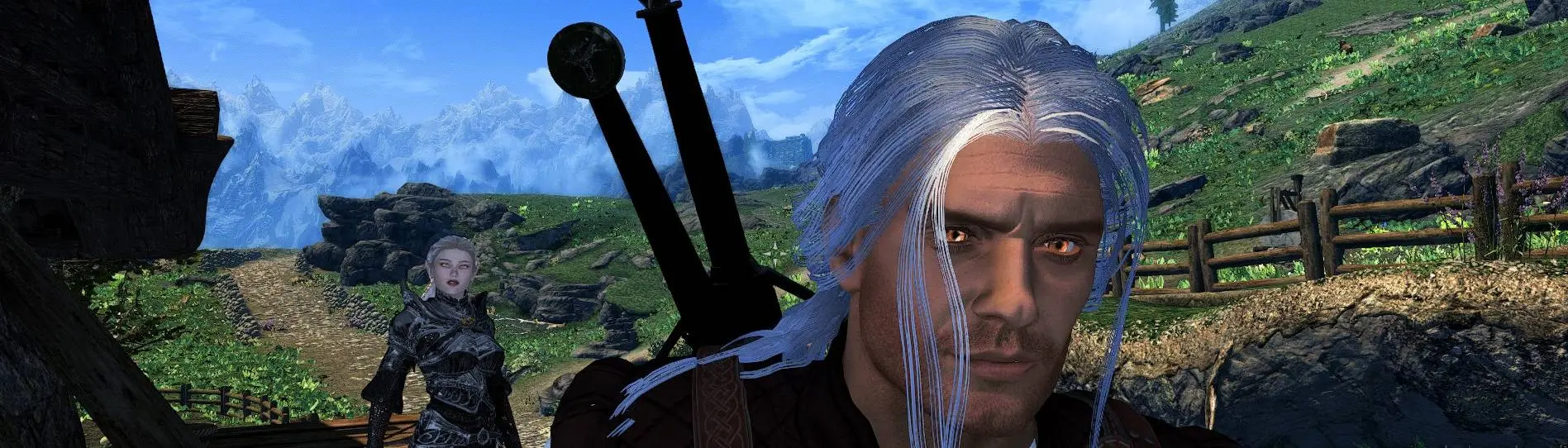 Geralt with eyes at Skyrim Special Edition Nexus - Mods and Community