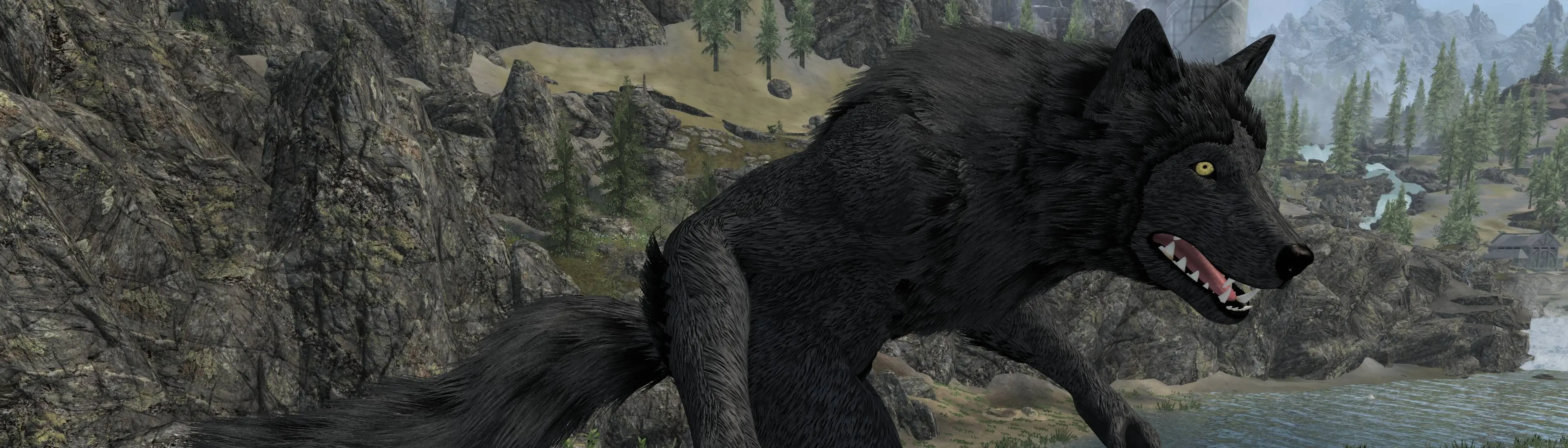 Companions No Werewolf Option - Fixed at Skyrim Special Edition Nexus -  Mods and Community